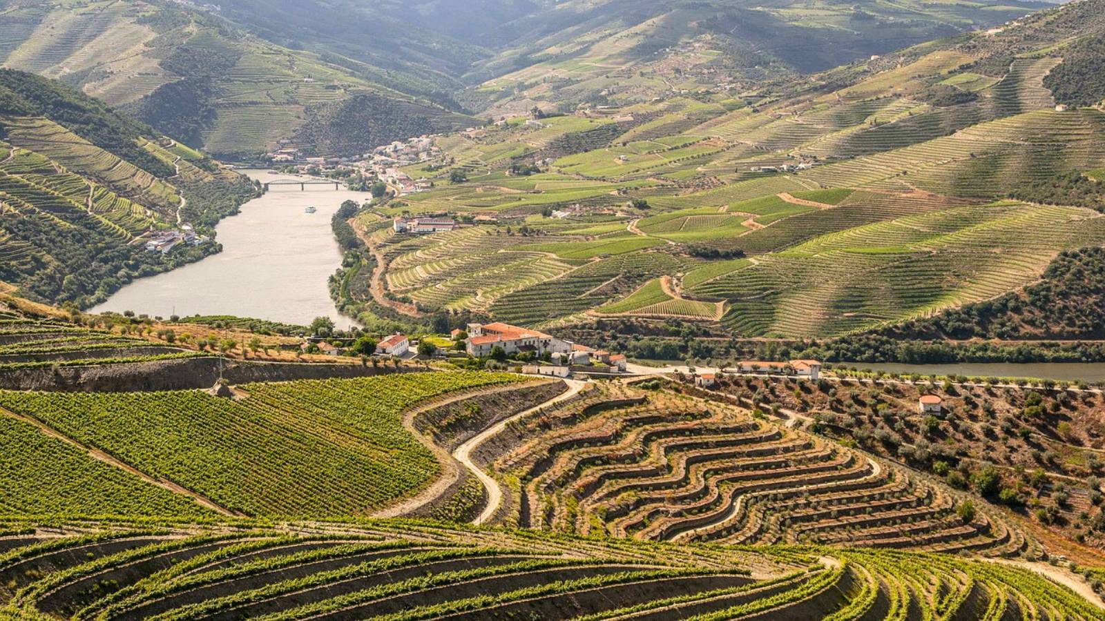 Camping-Matosinhos-Vallee-du-Douro